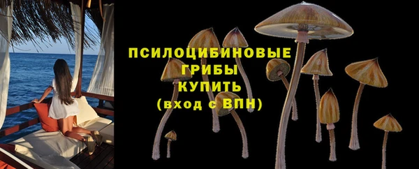 герыч Козловка