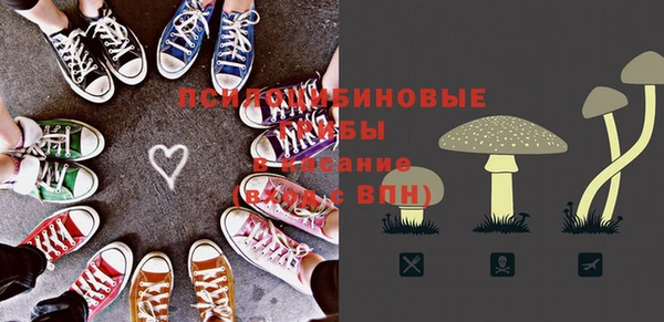 мдпв Кодинск