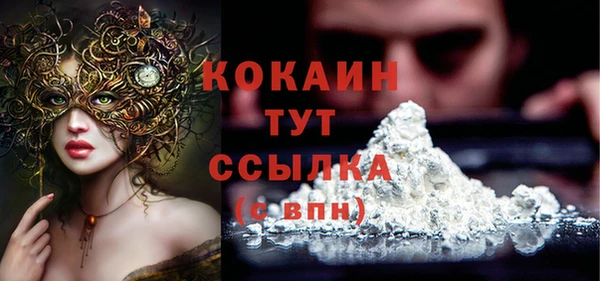 дмт Козельск