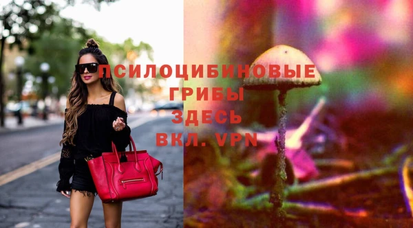 герыч Козловка