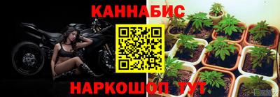 альфа пвп Камышлов