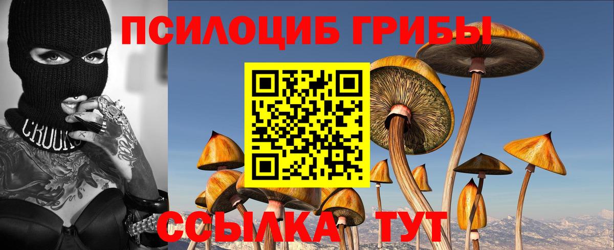 Галлюциногенные грибы прущие грибы Майский